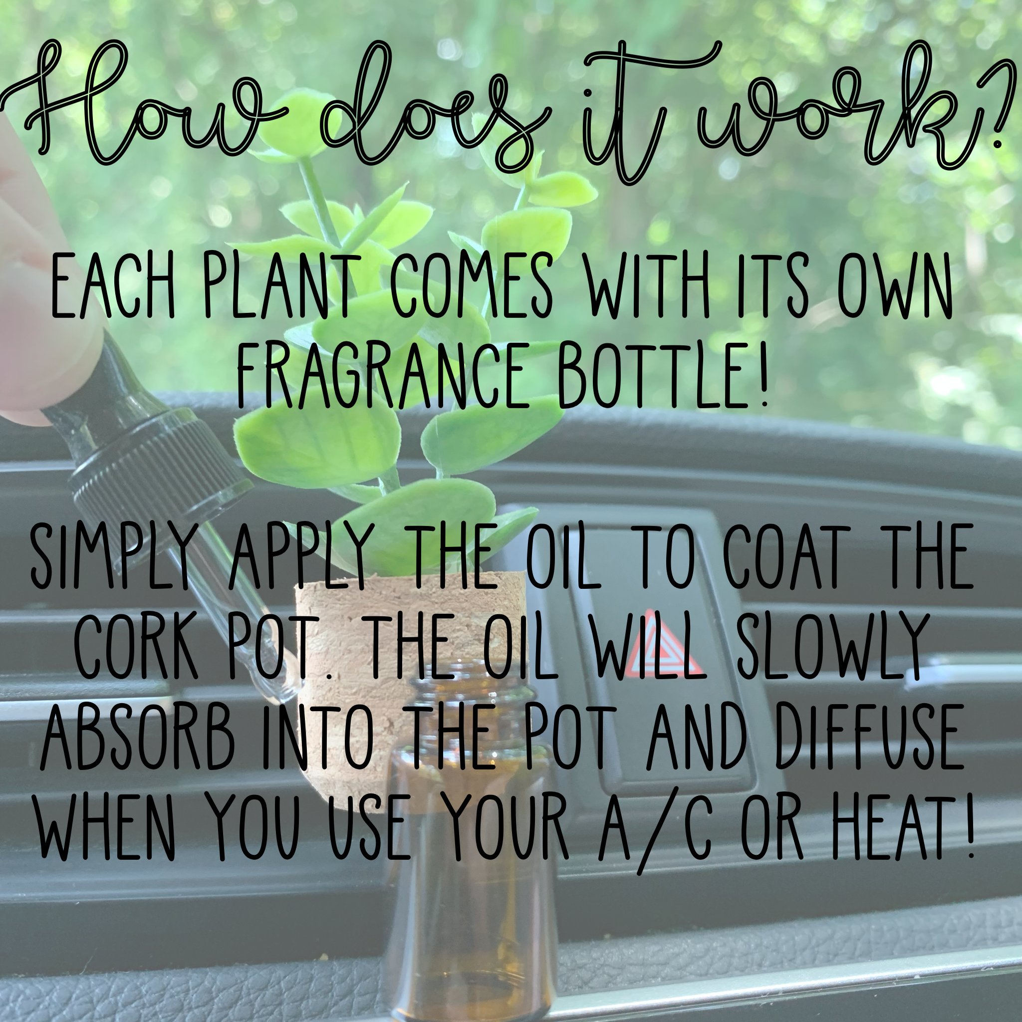 Vroom Blooms – Großhandel Auto-Lufterfrischer – Unisex – Pflanzen-Luftdiffusor für Autolüftungsschlitze (wiederverwendbar)8