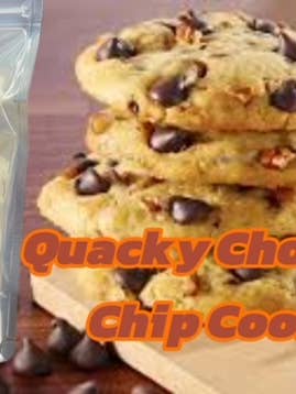 Biscuit Quacky aux pépites de chocolat lyophilisé et à l'eau salée pour la vente par Quacky Shack Freeze Dried Candy
