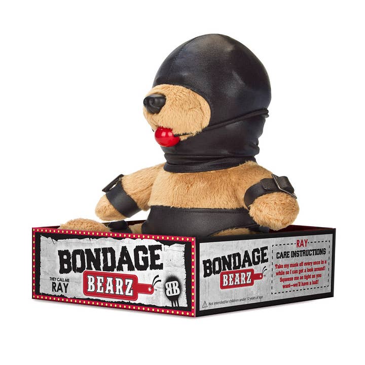 Lux Fetish Store - Wholesale Gag Gift/Novelty Gift - Gary Gag Ball (Ray) - Bondage Teddy Bear1
