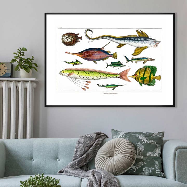 Ink & Drop – wholesale Art print – Fish Vintage Antique Print