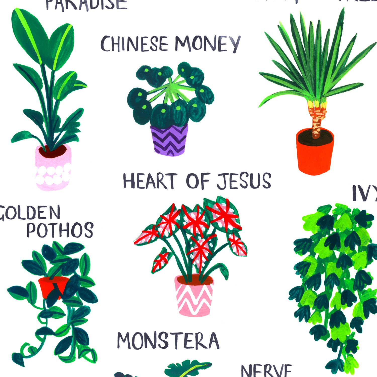 House Of Payne – wholesale Art print – Plant Print |  A-Z of Plants Wall Art | Poster Print1