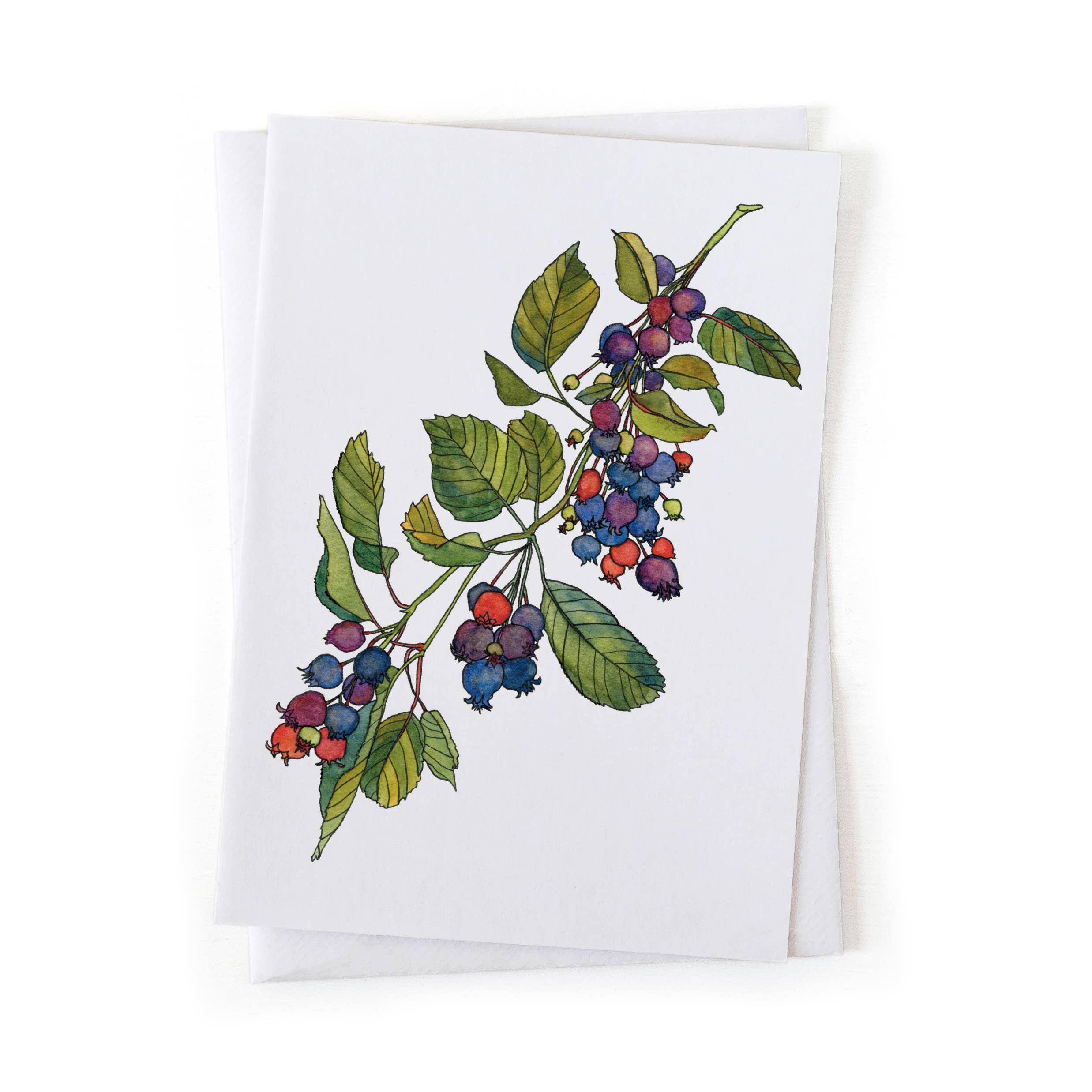 Wander & Gather - Wholesale Everyday Greeting Card - Serviceberry Juneberry Wild Foraging Botanical 5x7 Card0
