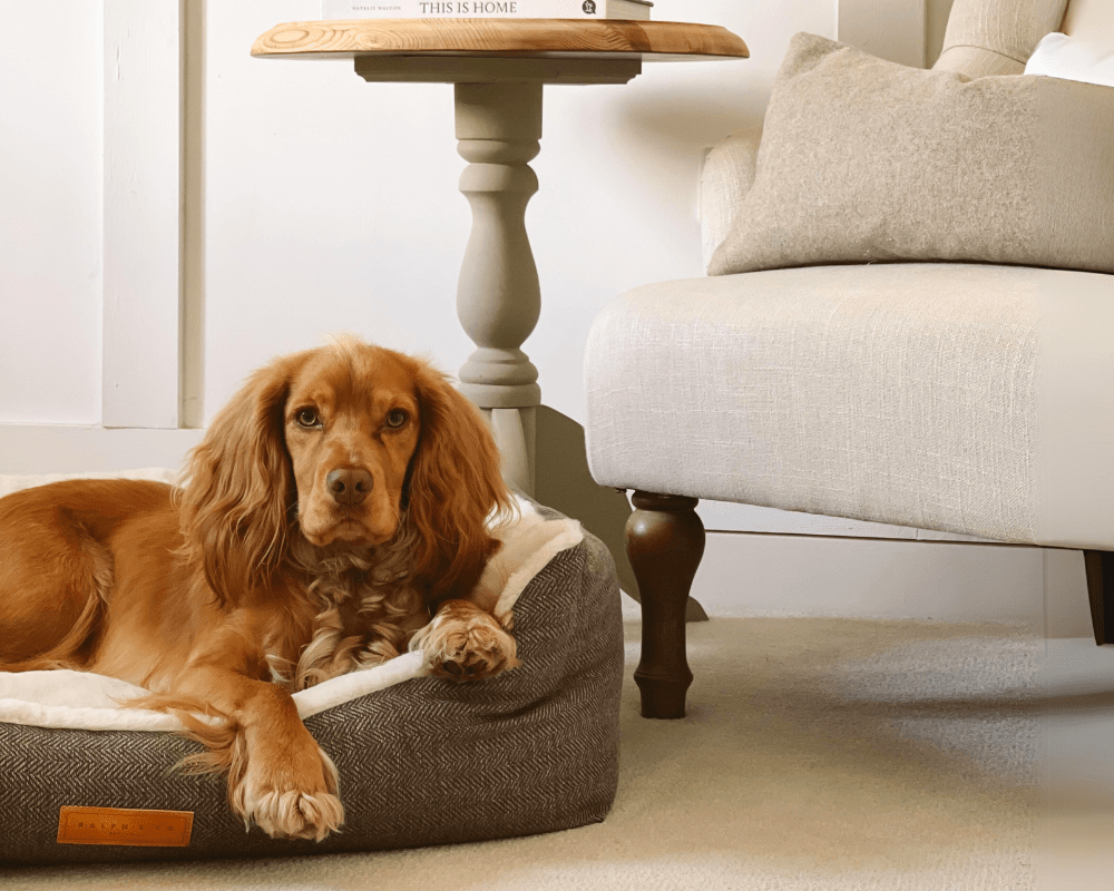 Ralph & Co – wholesale Pet bed – Dog – Luxury Tweed Dog Bed With Removable Covers | Lincoln5