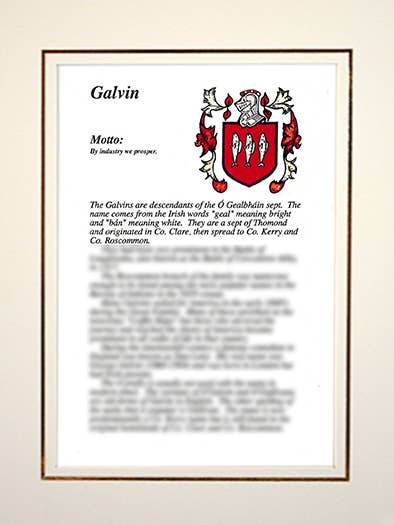 Galvin for wholesale by Family Histories