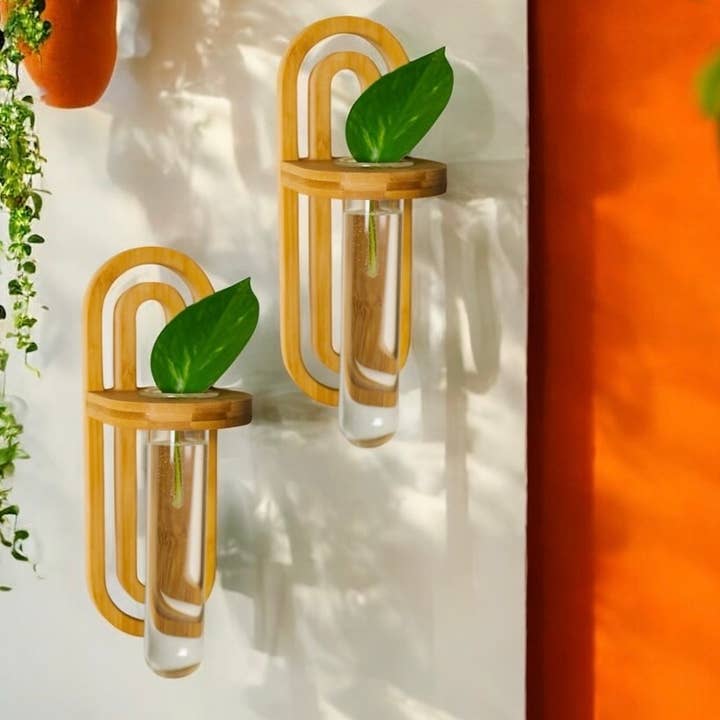 Bamboo Switch - Vendita all'ingrosso Fioriere sospese - Porta Piante da Parete in Bambù | NUOVA SCORTA LIMITATA