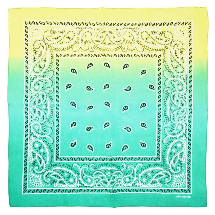 Topkids Accessories - Wholesale Bandana - Unisex - Paisley Bandanas Hair Bands Headbands Women Men Dogs Head Bands Festival Bike Accessories Face Masks Holiday Essentials Head Scarf7