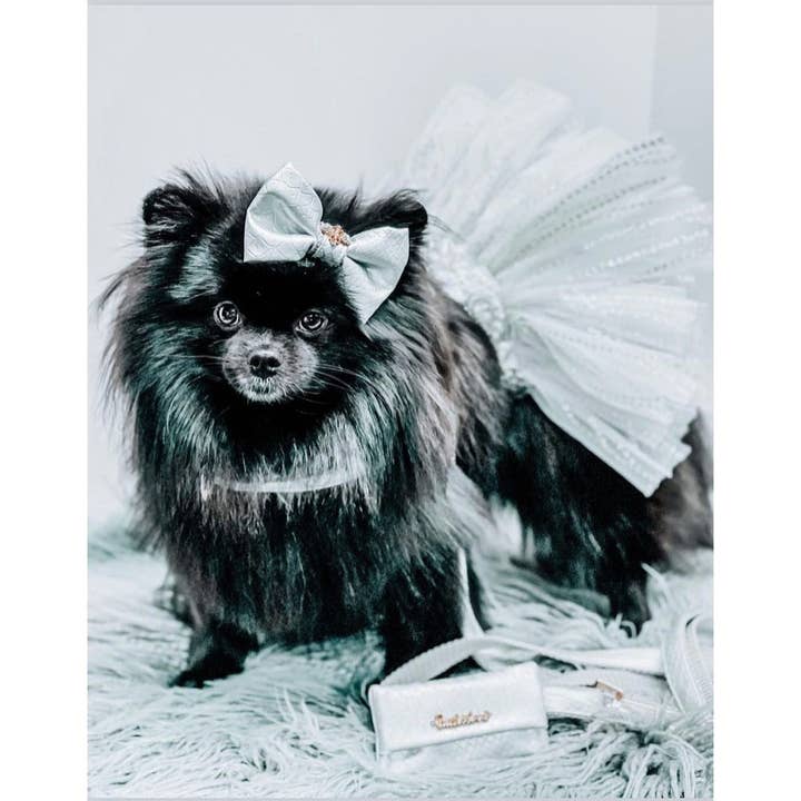 Puccissimé Pet Couture – wholesale Sele - Hund – Diva Hundsele med ett klick5