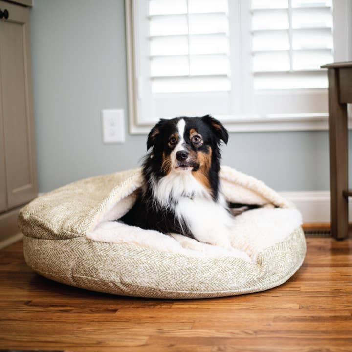Snoozer - Wholesale Pet Bed - Dog - Luxury Orthopedic Cozy Cave® Dog Bed - Show Dog Collection