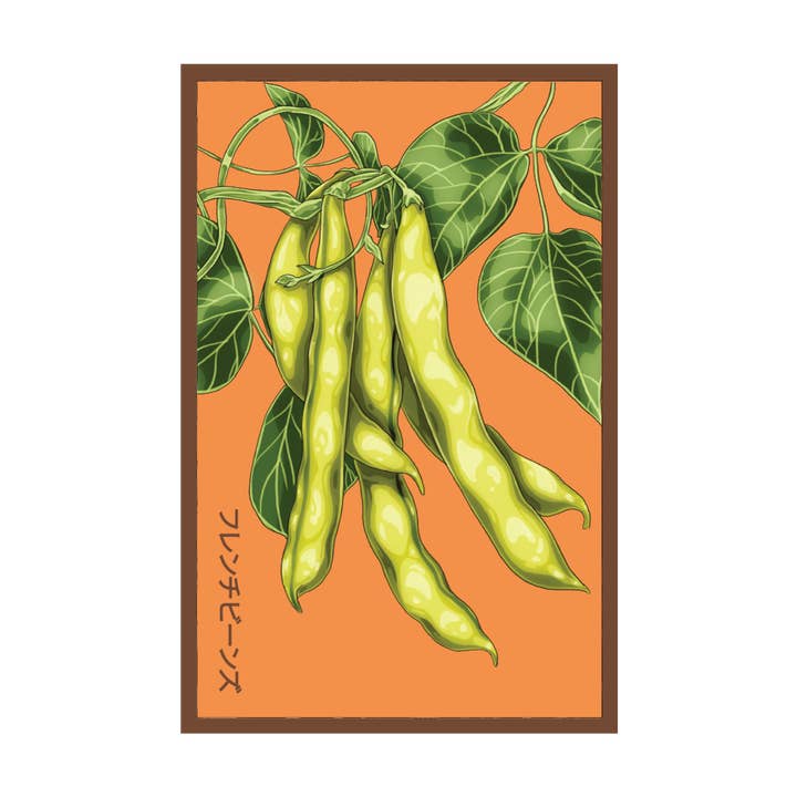 2026 French Beans Vegetable Seeds Packet for wholesale by Chive