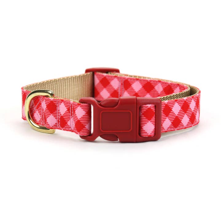 Dusidog – wholesale Halsband - Hund – Röd Gingham Check Hundhalsband, Alla hjärtans, Kanelsocker1