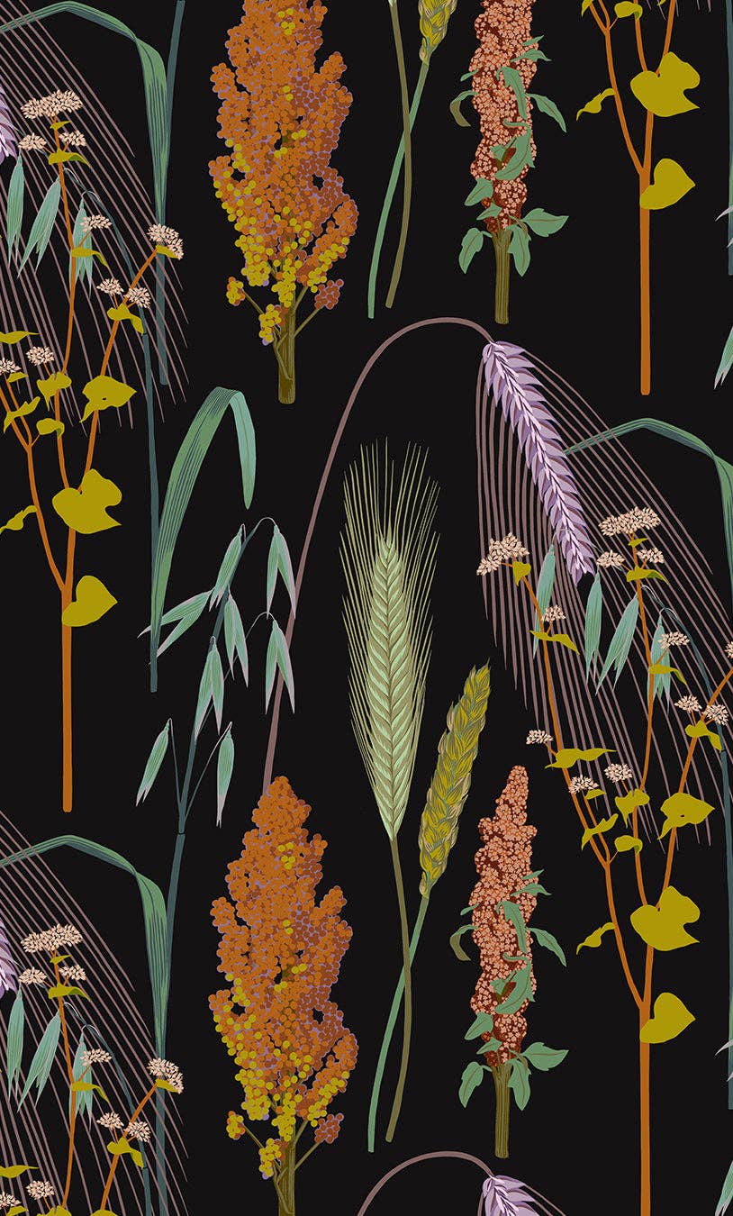 Kate Blairstone – wholesale Omslagspapper – Korn Presentpapper0