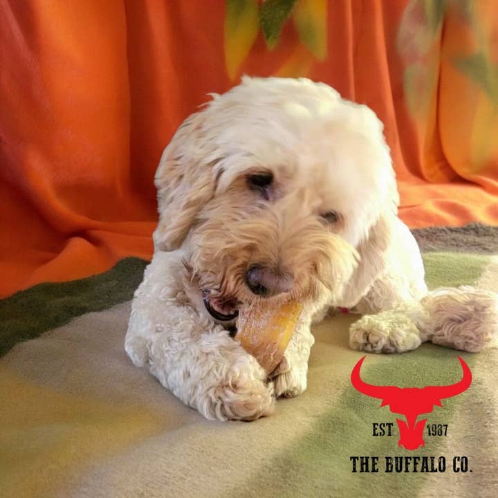 The Buffalo Co. - Vendita all'ingrosso Snack - Cani - Snack per cani Buffalo Paddywack-100 g1