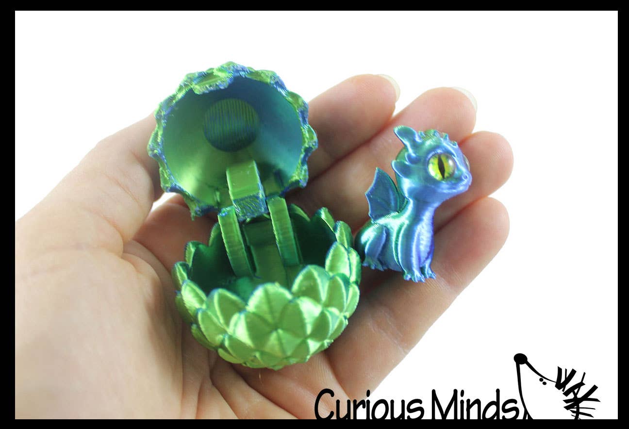 Curious Minds Toys - Wholesale Fidget Toy - Kids - 1 3D Printed Baby Dragon in Egg Fidget Toy - Unique Sensory 1
