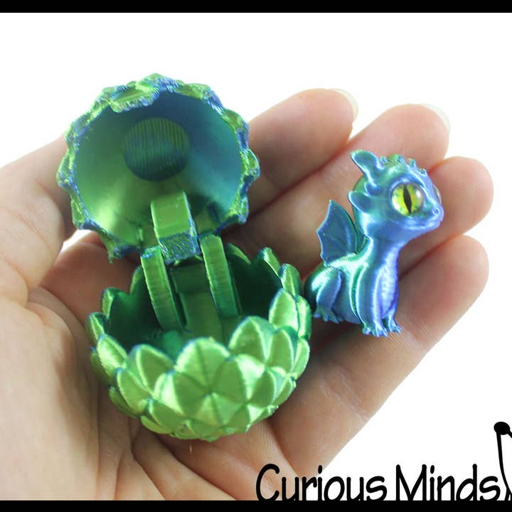 Curious Minds Toys - Wholesale Fidget Toy - Kids - 1 3D Printed Baby Dragon in Egg Fidget Toy - Unique Sensory 1