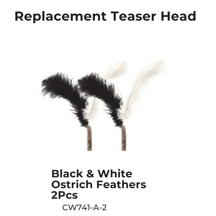 CATWANT – Brinquedo - Gato por atacado – Teaser Extra Longo Substituível - Nova Edição Chilreante6