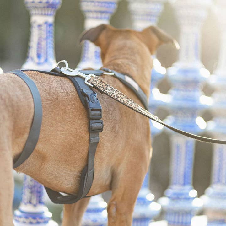 3-punkts anti-rymningssele för wholesale av candyPet