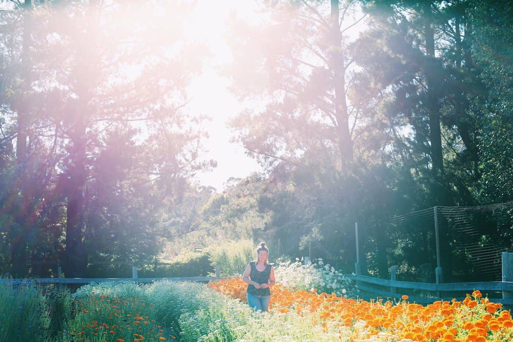 Root Rise Farm & Apothecary - Wholesale Bath Salts - Flower Bath of your Dreams2