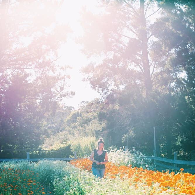 Root Rise Farm & Apothecary - Wholesale Bath Salts - Flower Bath of your Dreams2