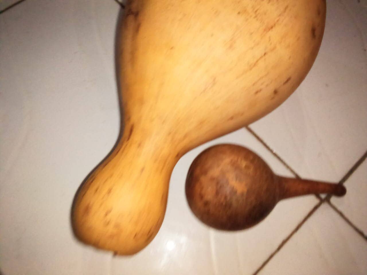 Delight merchants - Wholesale Decorative Tabletop Object - African calabash with its baby2