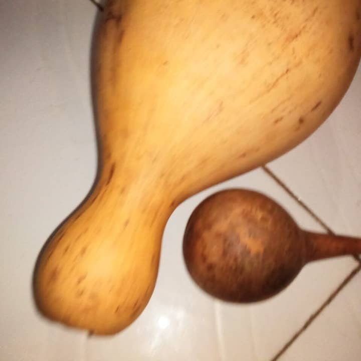 Delight merchants - Wholesale Decorative Tabletop Object - African calabash with its baby2