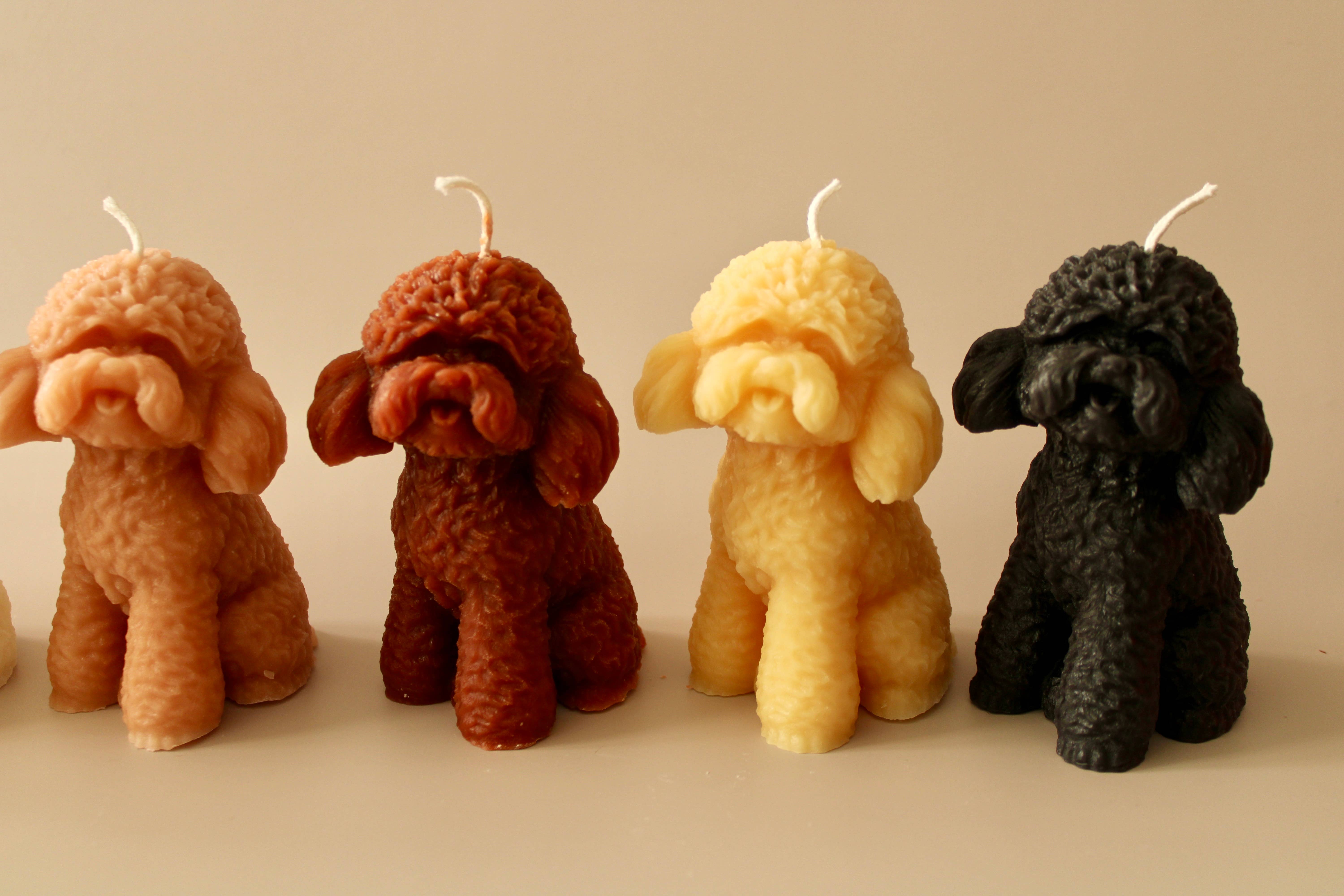 Wicksburgh - Wholesale Novelty Candle - Poodle, Doodle Beeswax/Soy Blend Candle4