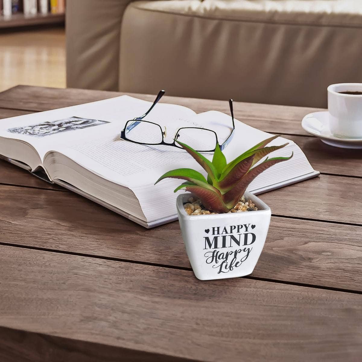 The H&H Group - Wholesale Succulent - Sentiment Succulents Counter Display & Stock - Sentiments3