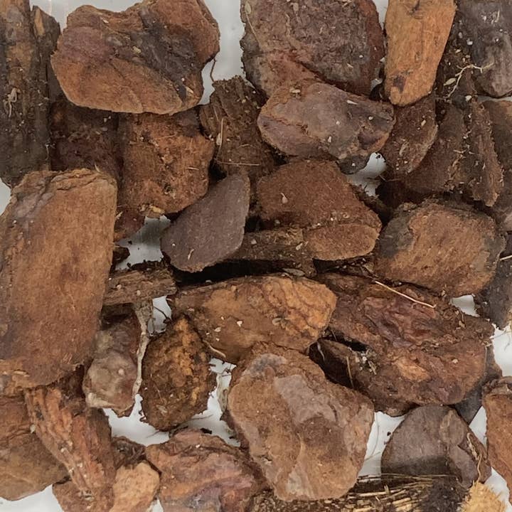 Grow-Win - Wholesale Planting/Potting Soil - Orchid substrate 4L, special phalaenopsis potting soil3