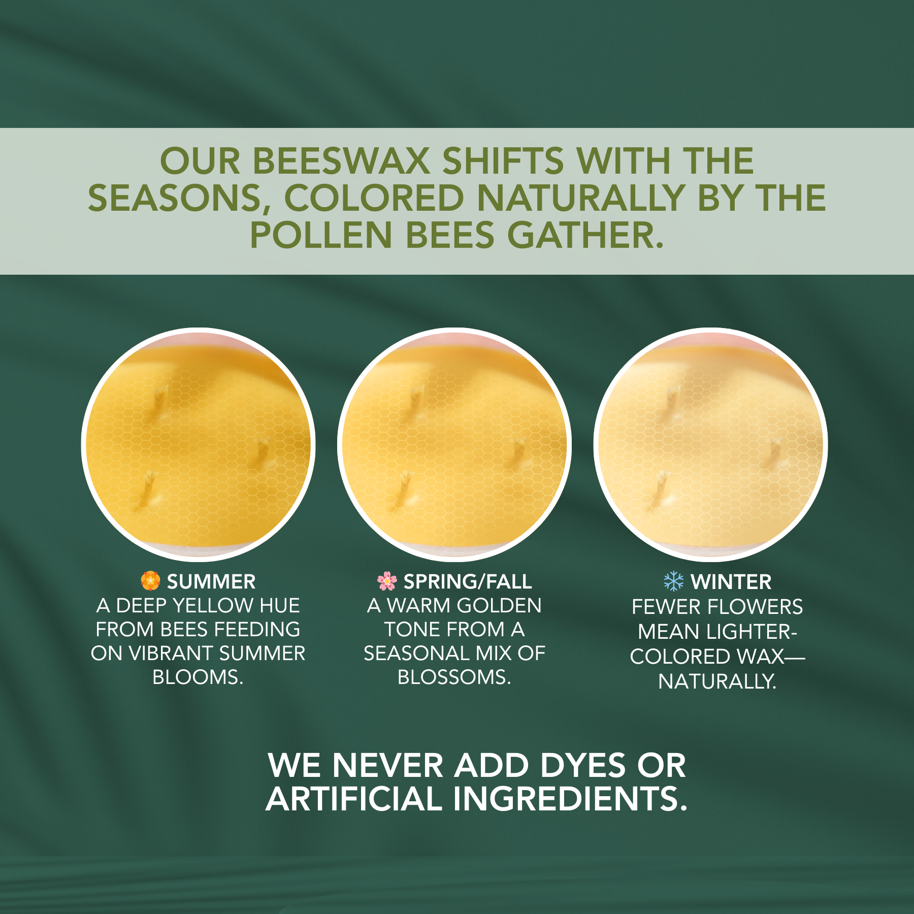 Living Good Candle Co. - Wholesale Jar/Filled Candle - Into The Forest - Beeswax Candle - Pine & Eucalyptus5