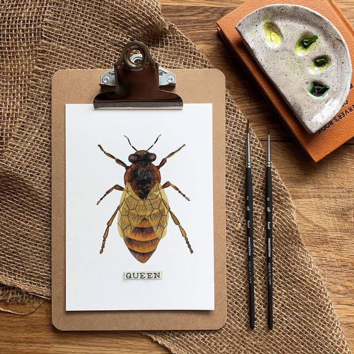 Candace Fincher - Wholesale Art Print - Honey Bee Print Of Queen Bee Bumble Bee Home Decor, Beekeeping2