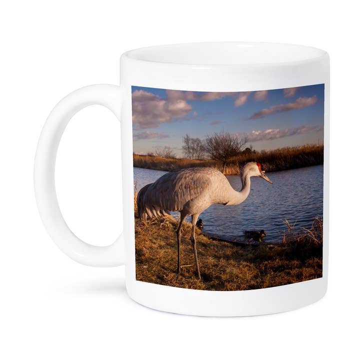 3dRose, grues du Canada, Sanctuaire d'oiseaux migrateurs, Colombie-Britannique, Canada., Tasse pour la vente par 3dRose