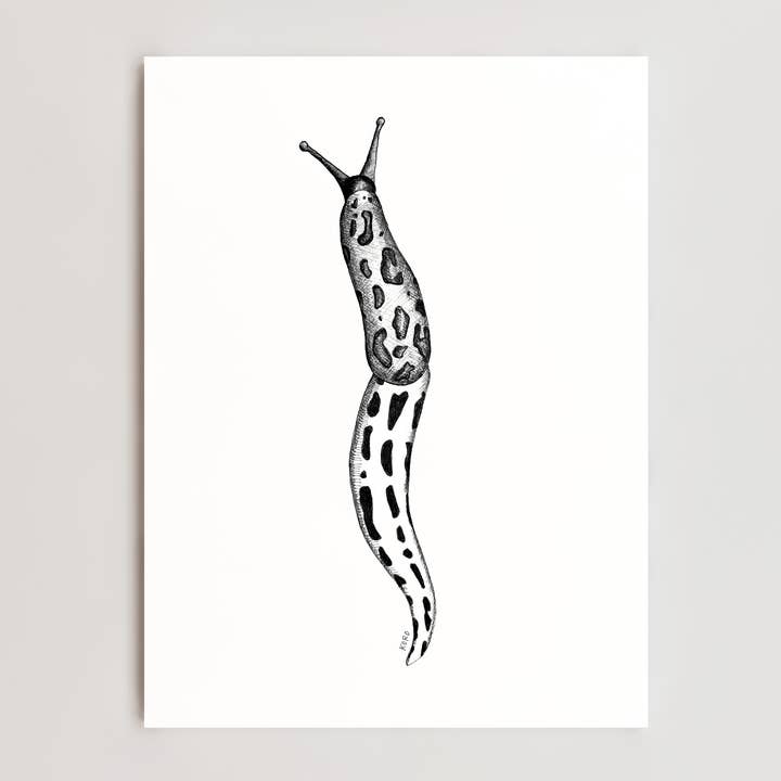 8" x 10" Leopard Slug Print for wholesale by Koro Illustration