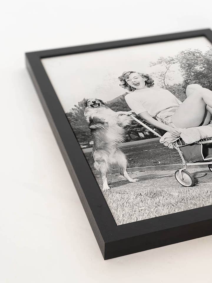 Imagen de perro fuerte. Lámina mural con marco. para venta al por mayor de Any Image