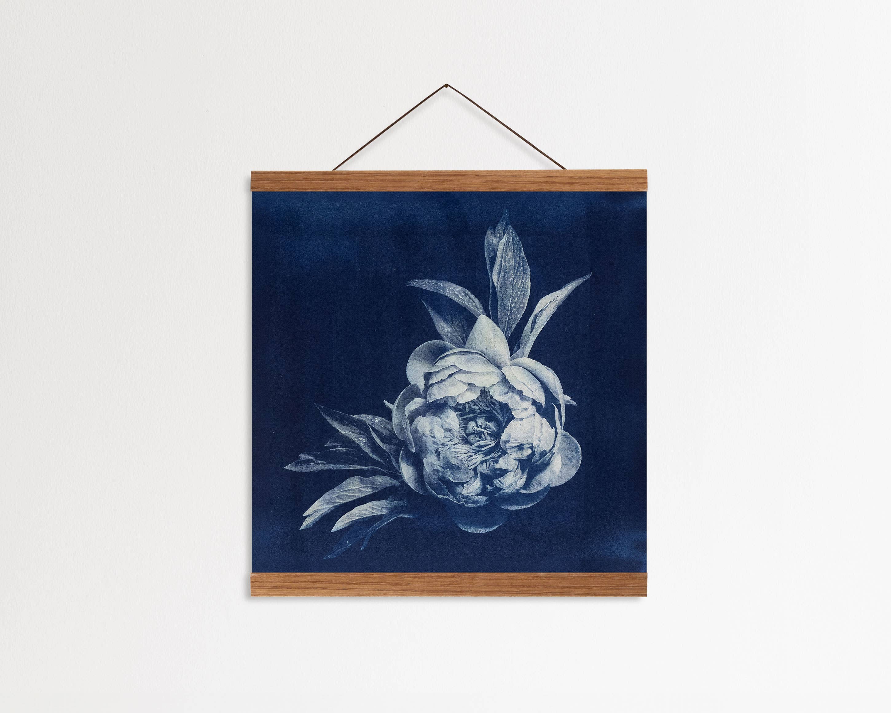 Wild Folklore by Alyson Brown - Wholesale Art Print - Peony II - Fine Art Flower Print1