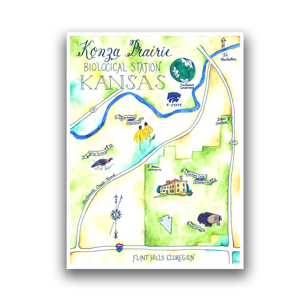 Emily Drew Yates Art & Illustration - Wholesale Postcard - Postcards - Watercolor Calligraphy Maps - 31 Maps33