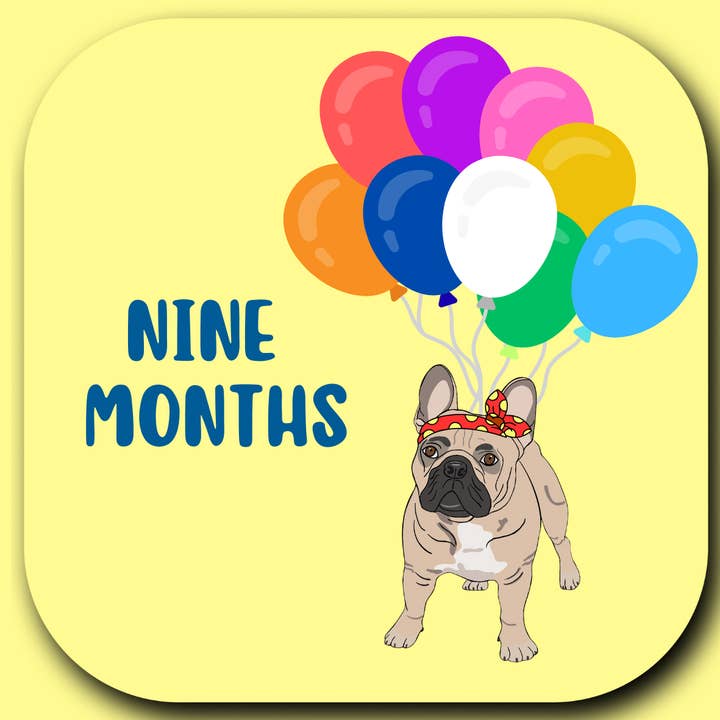 Wild & Wright - Wholesale Milestone Art/Keepsake - Kids & Baby - Welcome to the Pack Milestone Card Set6