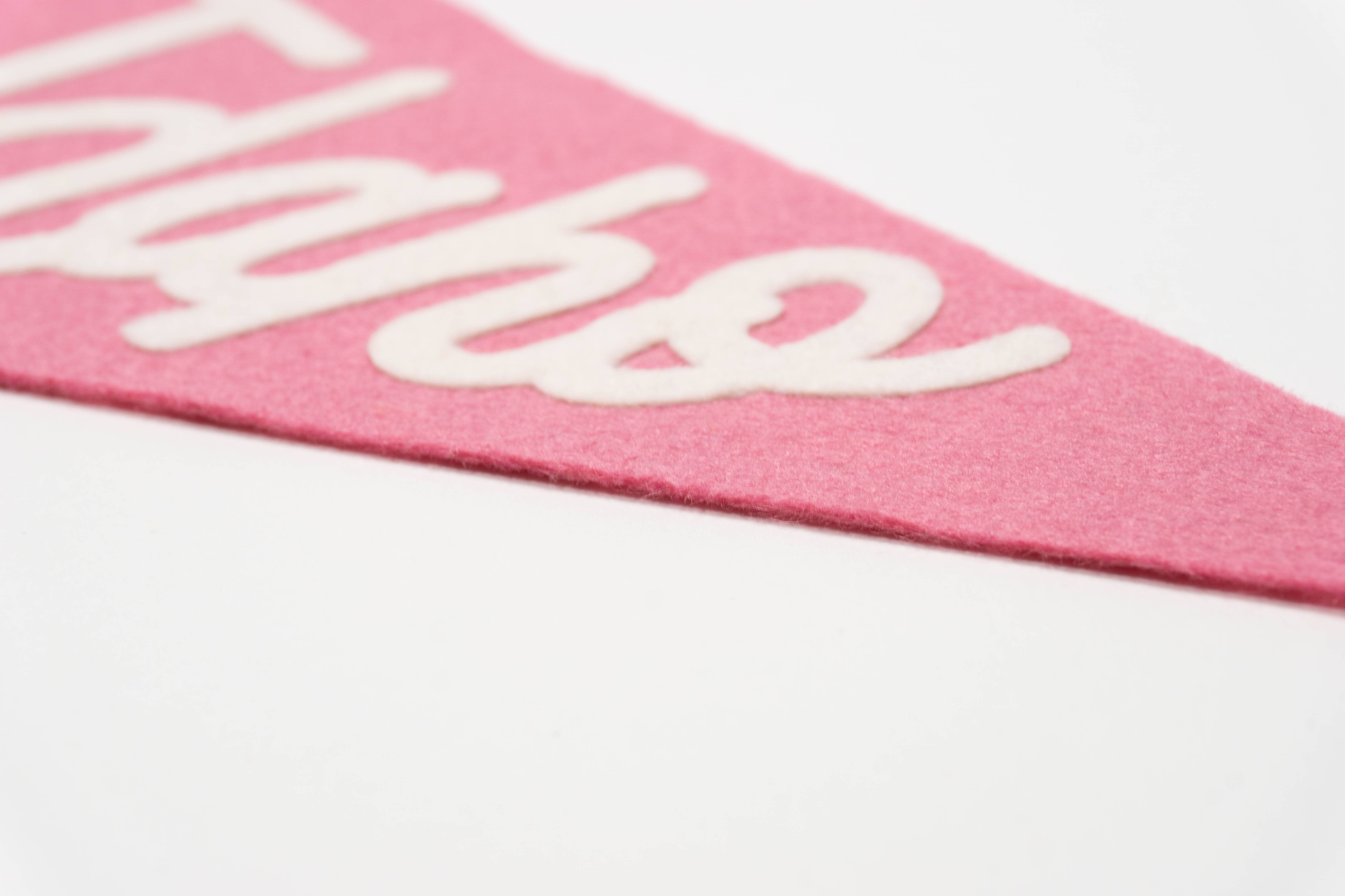 traveldashery - Wholesale Banner - idaho pennant12