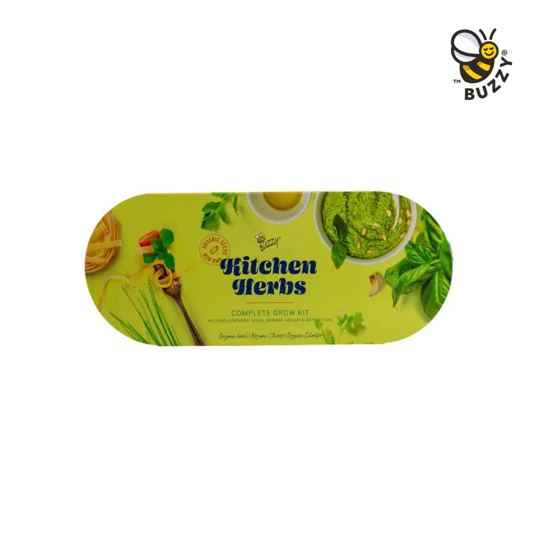 Buzzy Seeds Grow Gifts - Vente Kit de bricolage - Kit de Culture d'Herbes de Cuisine sur Rebord de Fenêtre Galvanisé – Cadeau d'Intérieur