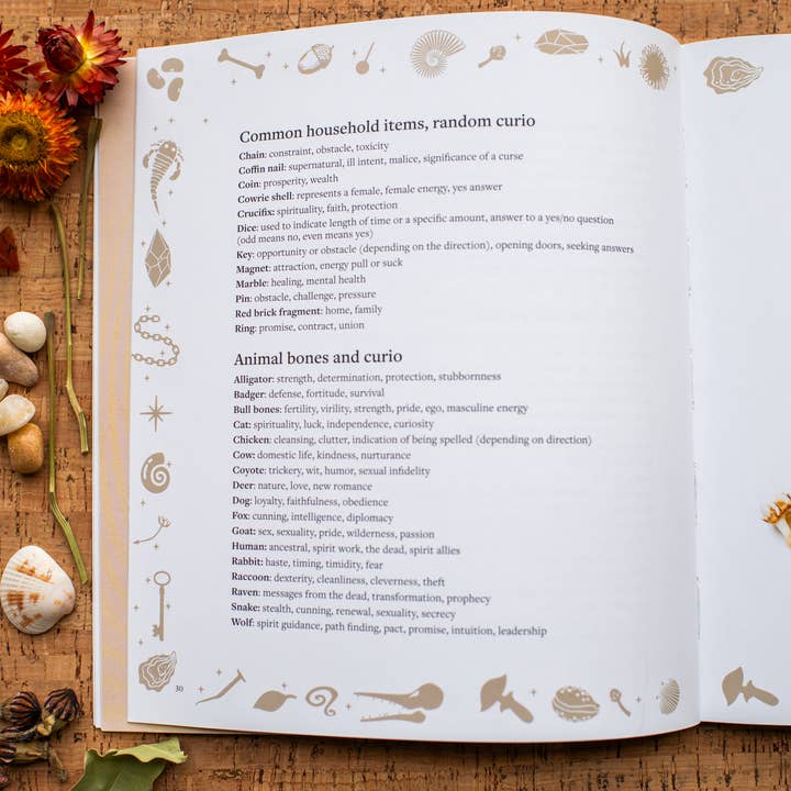 Red Wheel/Weiser LLC - Wholesale Body, Mind & Spirit Book - Throwing Bones, Crystals, Stones, and Curios-Mystic Dylan3