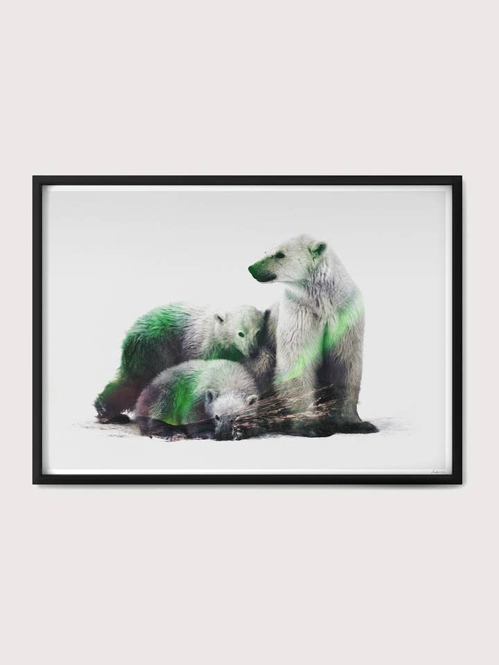 Lámina artística de la familia Arctic Polar Bear para venta al por mayor de Illustrate