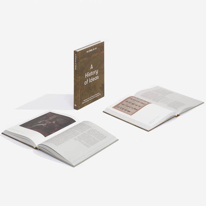 The School of Life – wholesale Humaniora och kulturstudier – En bok om idéhistoria, gåva för tänkare4