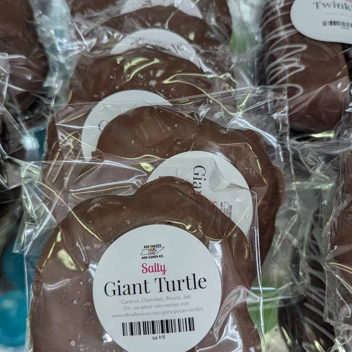Color Me Chocolate – wholesale Chocolate-covered sweets – Giant Turtles - Salty