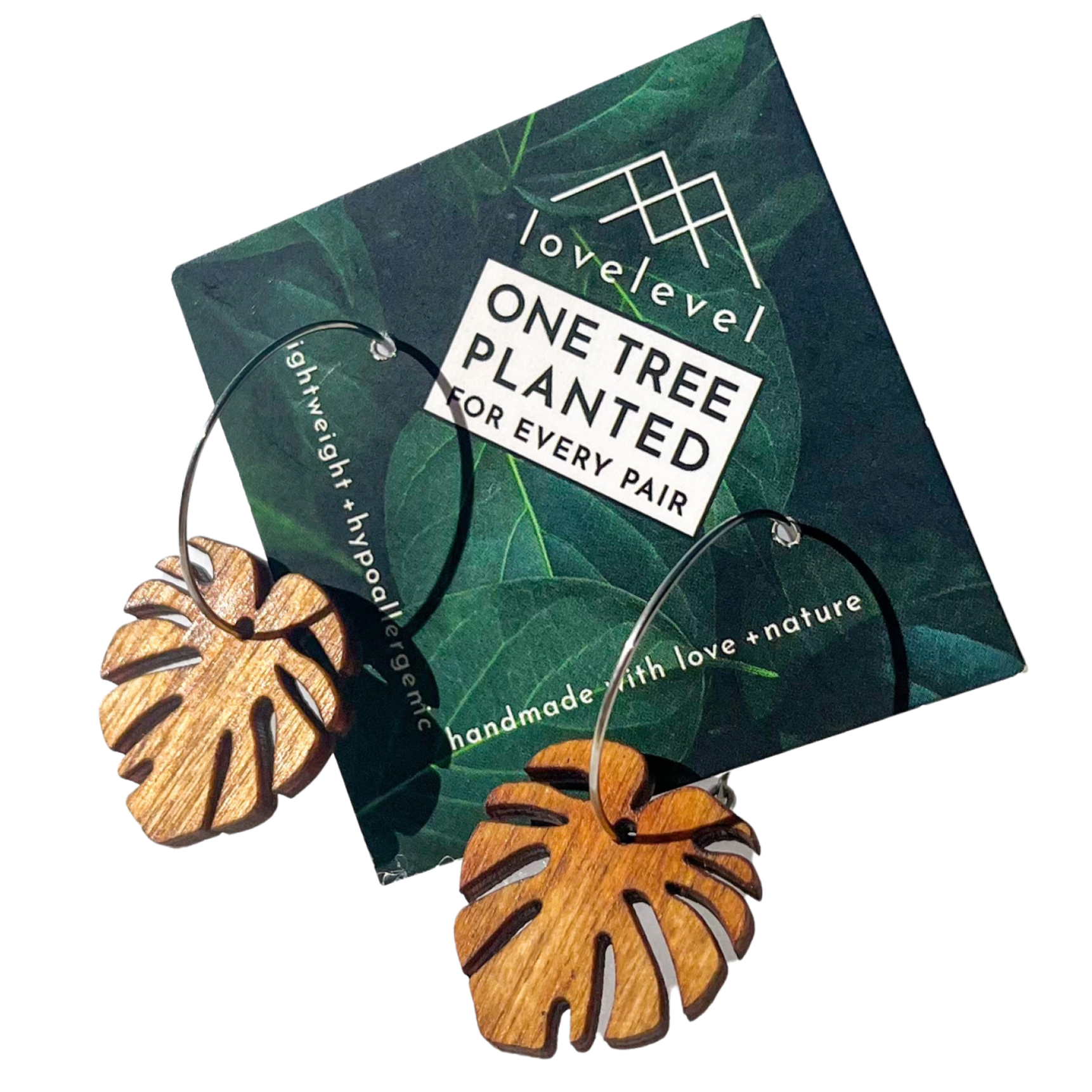 lovelevel – wholesale Dangle earrings – Hawaii Wood Earrings | BABY MONSTERA3