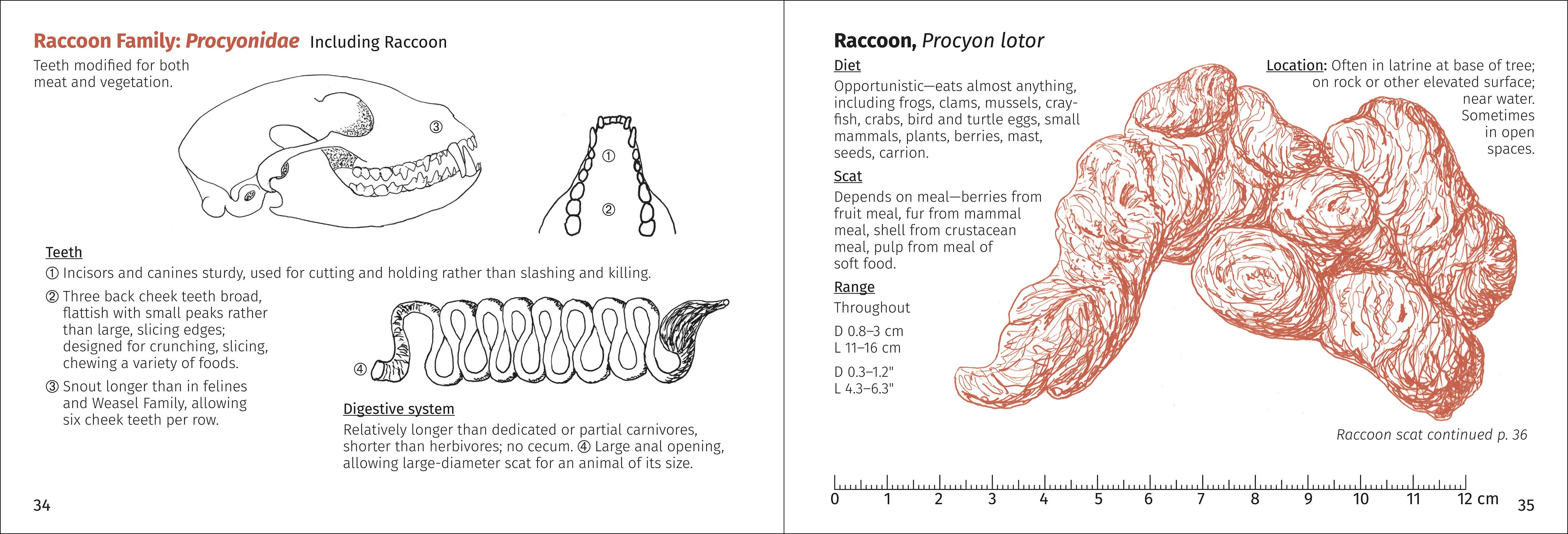 AdventureKEEN - Wholesale Nature & Outdoors - Scat Finder 2nd Edition7