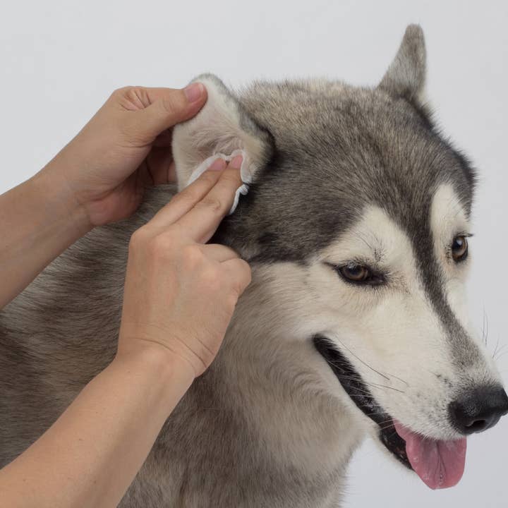 Mettalusso Inc - Wholesale Pet Cleaning Supplies - Mettalusso More Vegan Pet Cleansing Wipes4