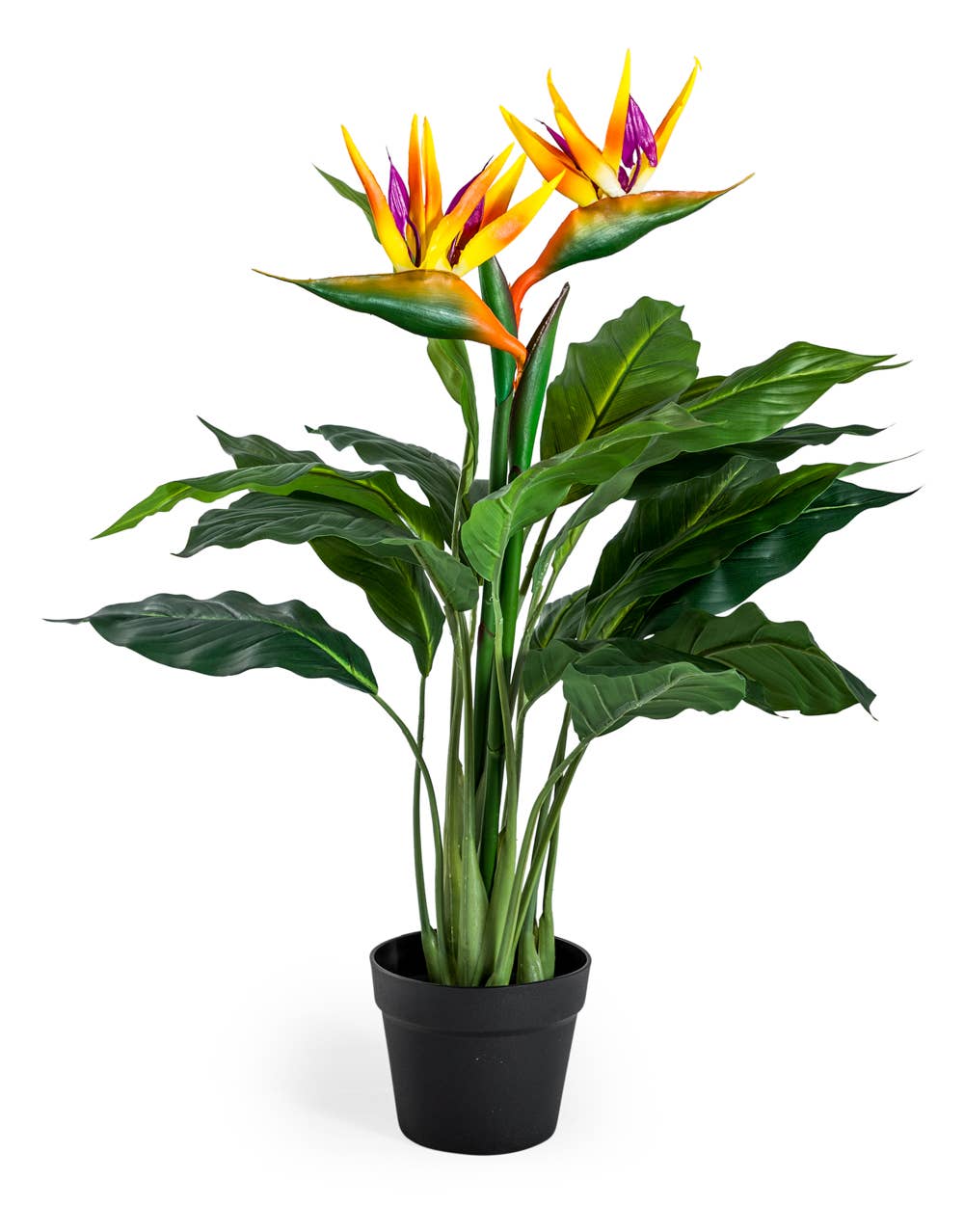 McGowan & Rutherford Ltd - Wholesale Artificial Plant - Ornamental Potted Bird of Paradise Plant0