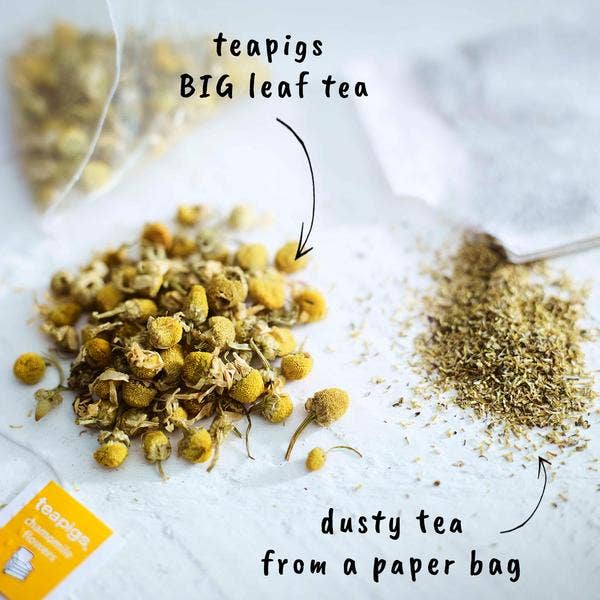 teapigs - Wholesale Tea Bags - Chamomile Flowers Tea- 15 temples3