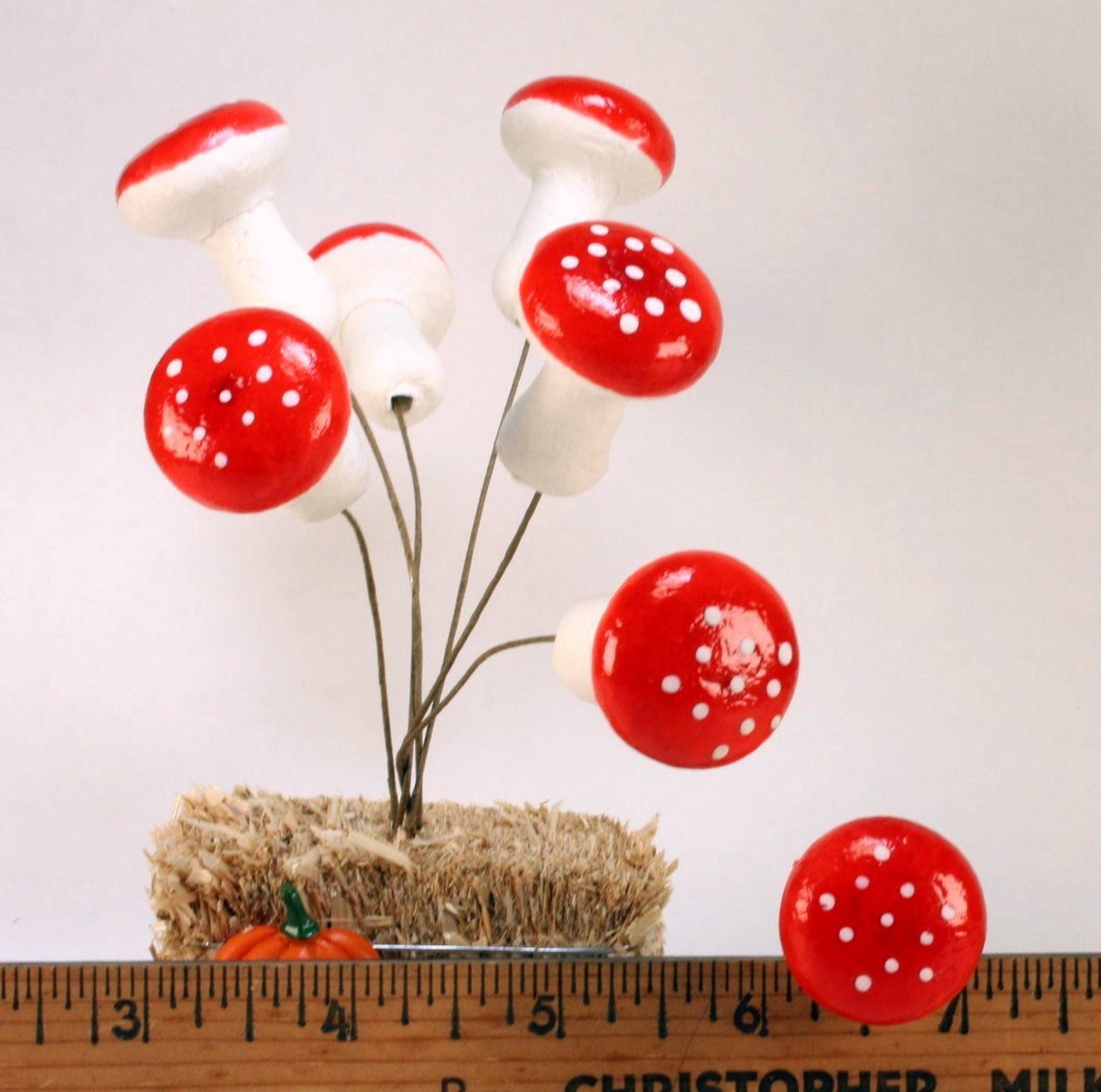 Funghi rossi Funghi rossi, cotone filato rosso, 2,5 cm, 6 pezzi in vendita all'ingrosso su Faire6