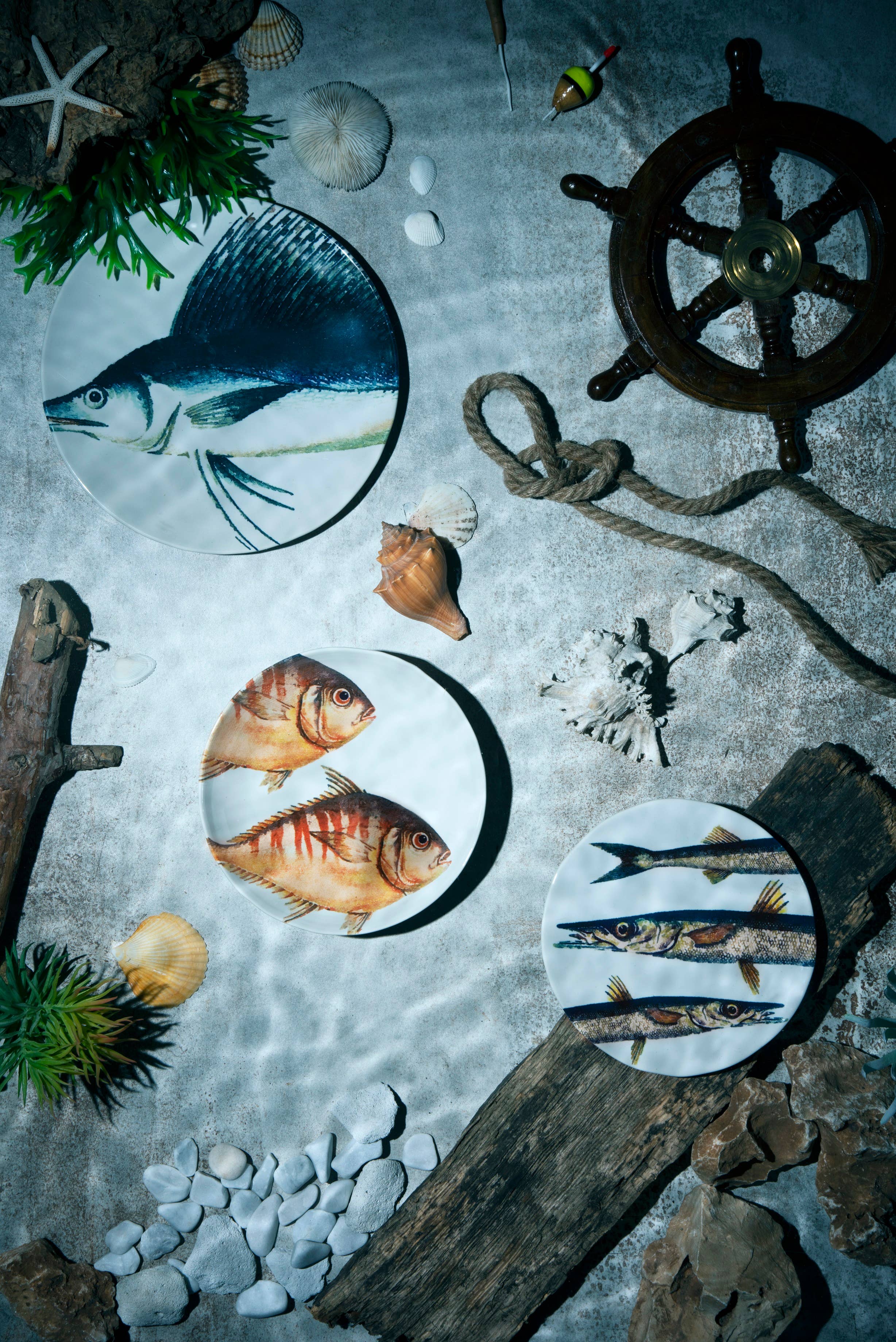 multicolour 18-Piece Portland Dinnerware Set for wholesale on Faire5