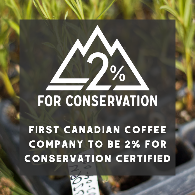 Canadian Heritage Roasting Company – Grãos de café por atacado – Madeira queimada - café orgânico (ESCURO)8