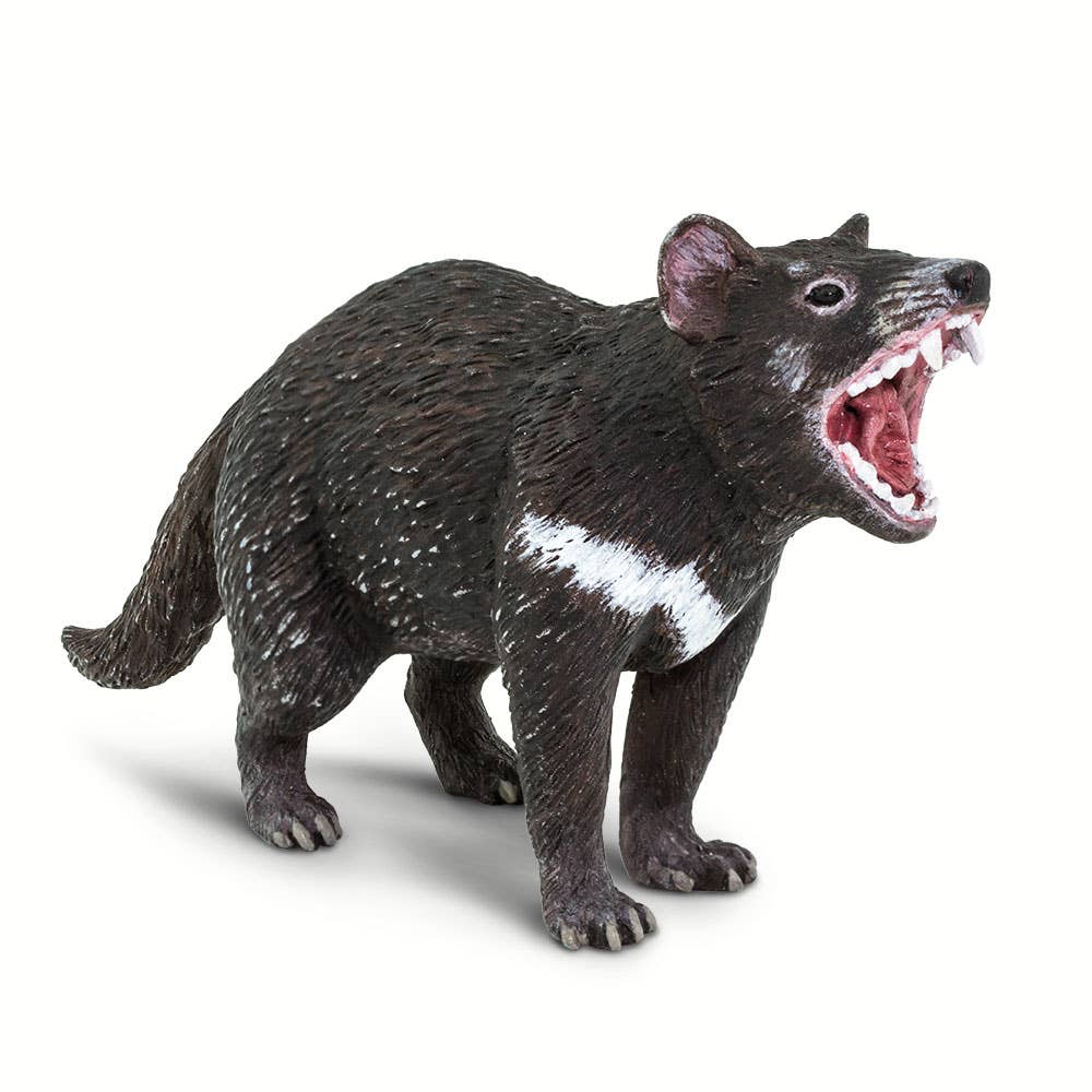 Safari Ltd. - Wholesale Figurine Toy - Kids - Tasmanian Devil - 1002472